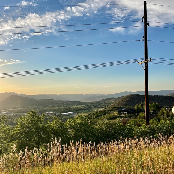 Meet your Posher, Emily - Picture 1 of 1